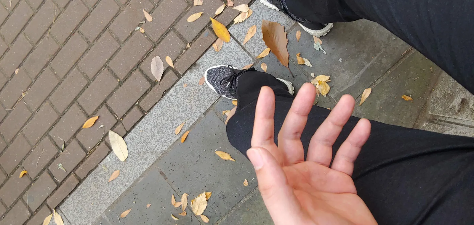落ち葉の舞う石畳を見下ろした写真。自分の足と、差し出した手が写っている。